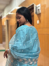 Aqua Blue Roman Embroidered Straight Suit Set with Sheer Floral Dupatta